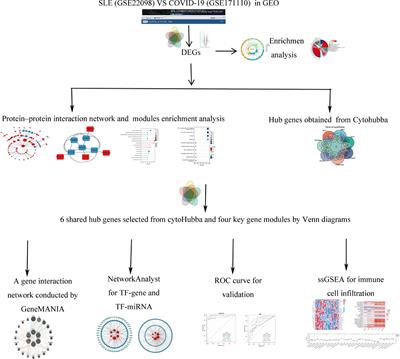 Exploring the potential common denominator pathogenesis of system lupus erythematosus with COVID-19 based on comprehensive bioinformatics analysis